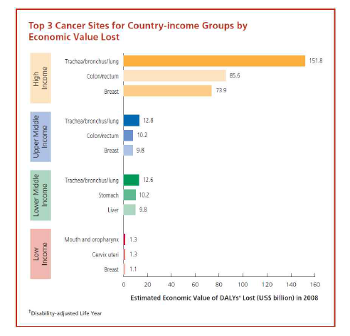 전세계의 국가소득 수준별 주요 암으로 인한 경제적 손실 규모(2008년)