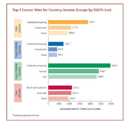 전세계의 국가소득 수준별 주요 암으로 인한 DALYs(2008년)