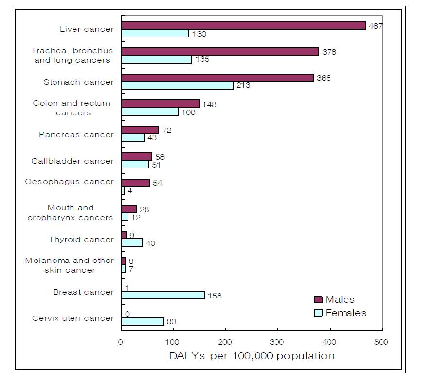 주요암의 질병부담(2005)