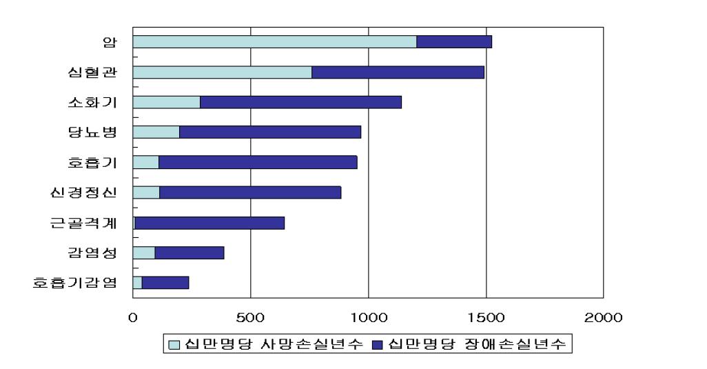 한국인의 질병부담