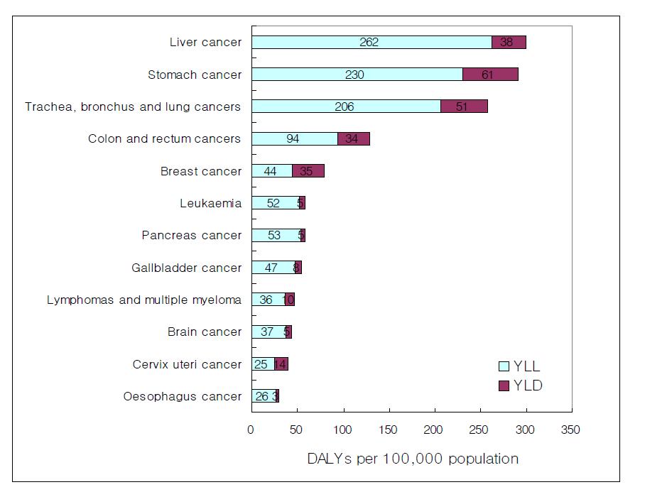 한국인의 암으로 인한 질병부담