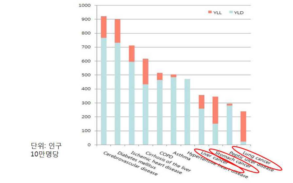 한국인의 10대 만성질환 질병부담