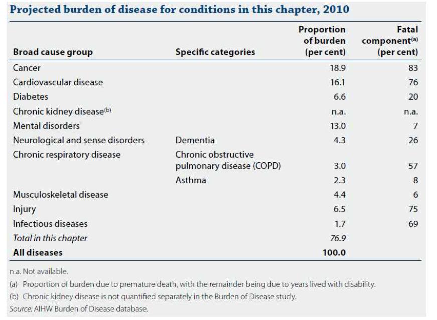 주요 질병부담(2010년)