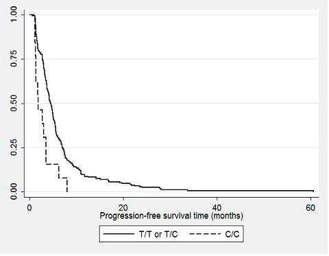 Kaplan-Meier plot depicting the progression-free survival of the validation cohort according to the ****** genotype Progression-free survival was significantly longer for patients with C/C genotype compared with those with C/T or T/T genotypes (HR, 2.46; 95% CI, 1.36.4.44; P = 0.003).