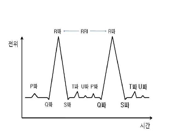심전도 개념도