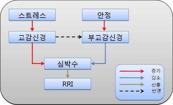 스트레스와 심박변동의 관계