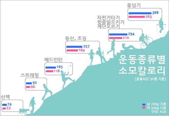 운동 종류별 소모칼로리