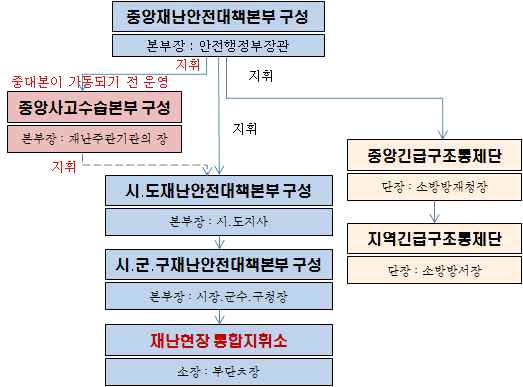 법률 개정 후의 국가 재난대응 체계도