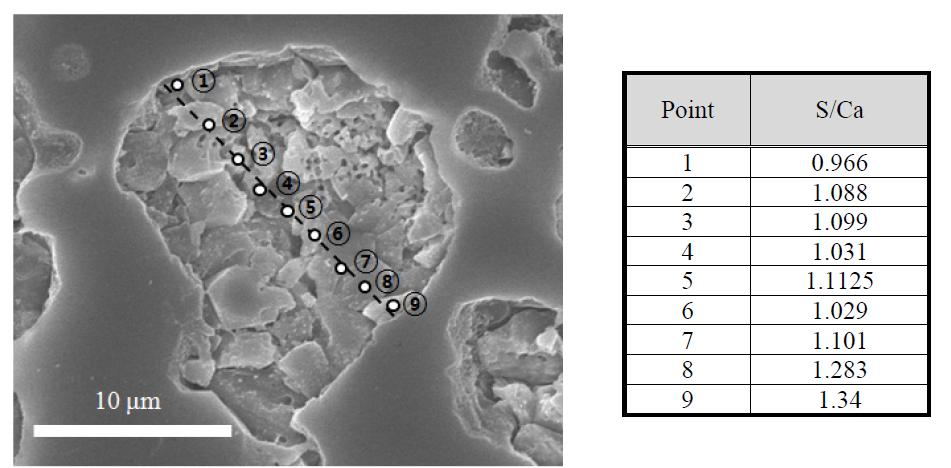 S/Ca ratios at different positions along the cross section of the sorbent particle in an conventional air atmosphere.