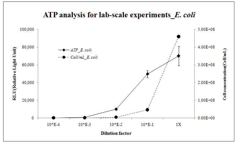 E. coli 세포수에 따른 ATP 측정