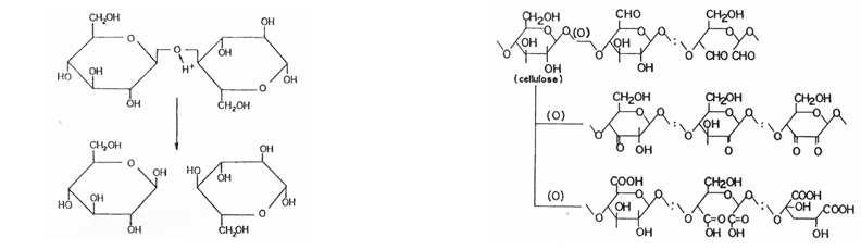 산에 의한 셀룰로오스의 가수분해
