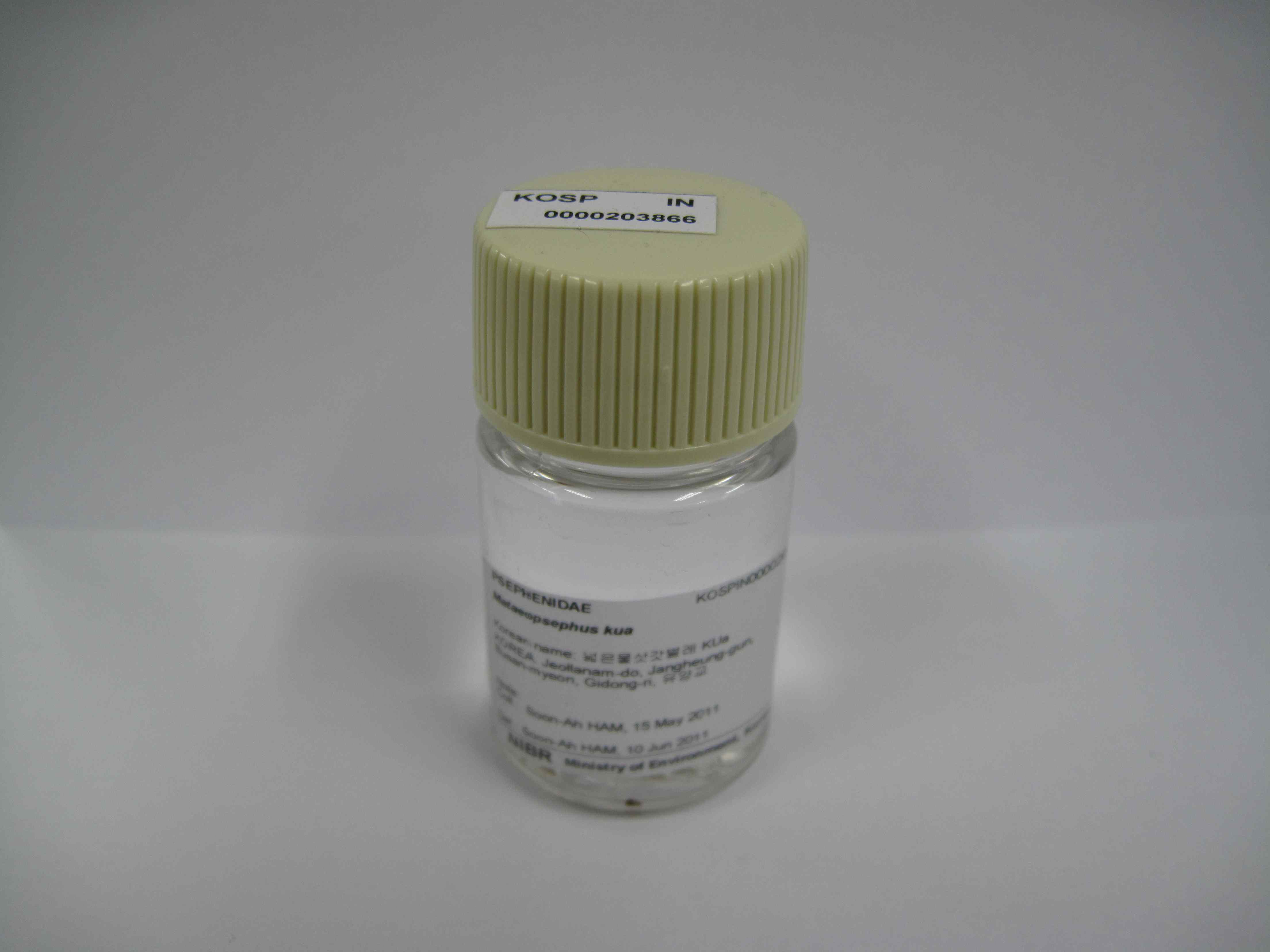 액침병(vial 25ml)