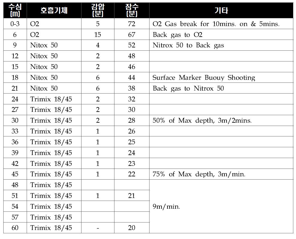 잠수조사 시 다이빙 계획(수심 60m 20분 )