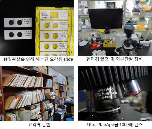 요각류 관찰을 위한 슬라이드제작 및 동정
