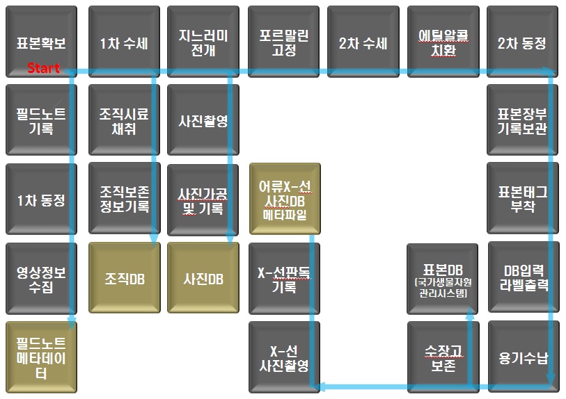 그림 1. 연안성 어류자원 표본, 사진, 조직시료 등 관련자료 처리 과정