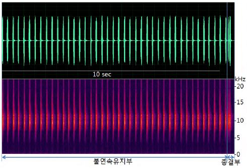 그림 146. 풀매미 소리에 대한 파형 및 스펙트로그램