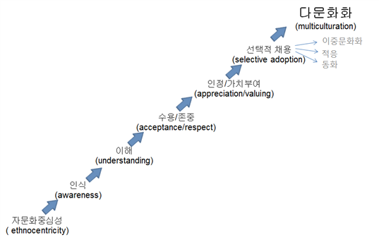 Hoopes(1974)의 문화간 학습 과정