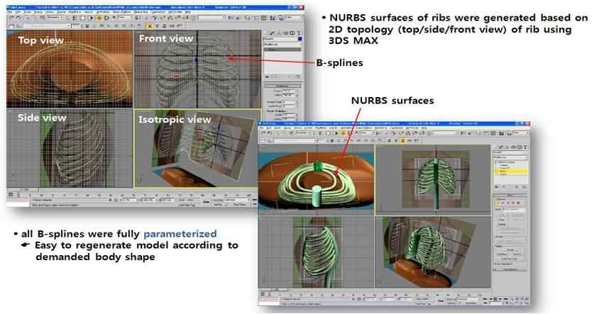 그림 54. 흉부의 3차원 NURBS 표면 모델링