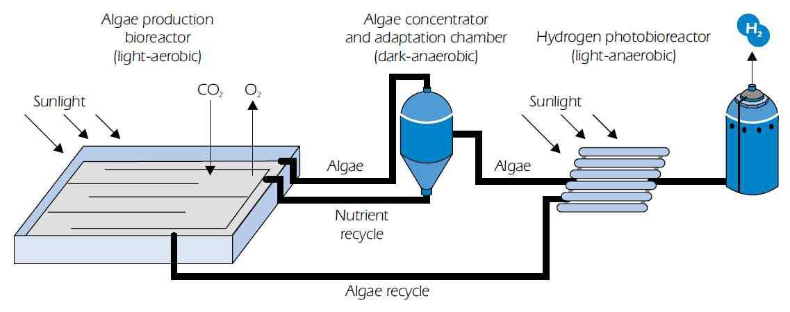 태양광을 이용한 수소생산원리 (출처:Hydrogen production and storage, International energy agency, 2006)