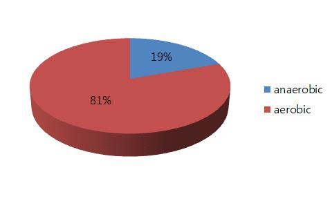 그림 1. 현재까지 보고된 전체 미생물 중 혐기성 미생물의 비율