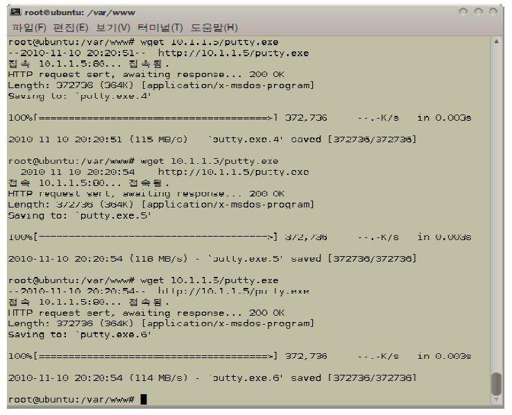 wget 접속을 통한 PE 파일 다운로드