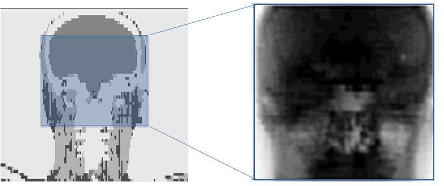 KTMan2 디지털 팬텀의 단면(왼쪽)과 시뮬레이션으로 획득한 영상(오른쪽)