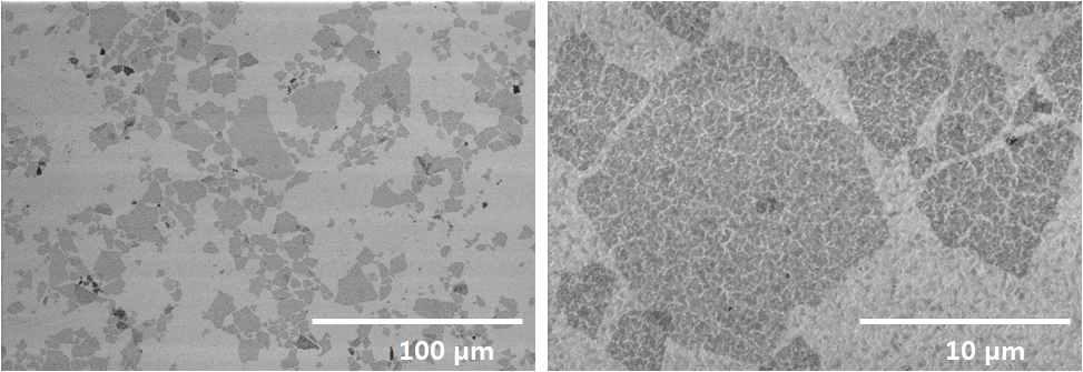 SEM images of FTO surface pretreated by graphene oxide.