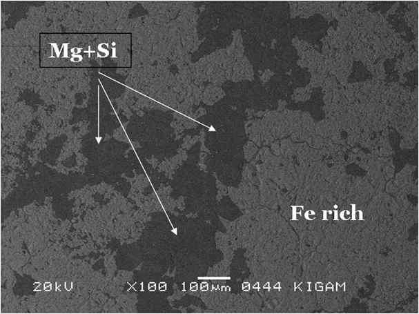 SEM back scattered electron image of magnetite from Sinyemi mine.