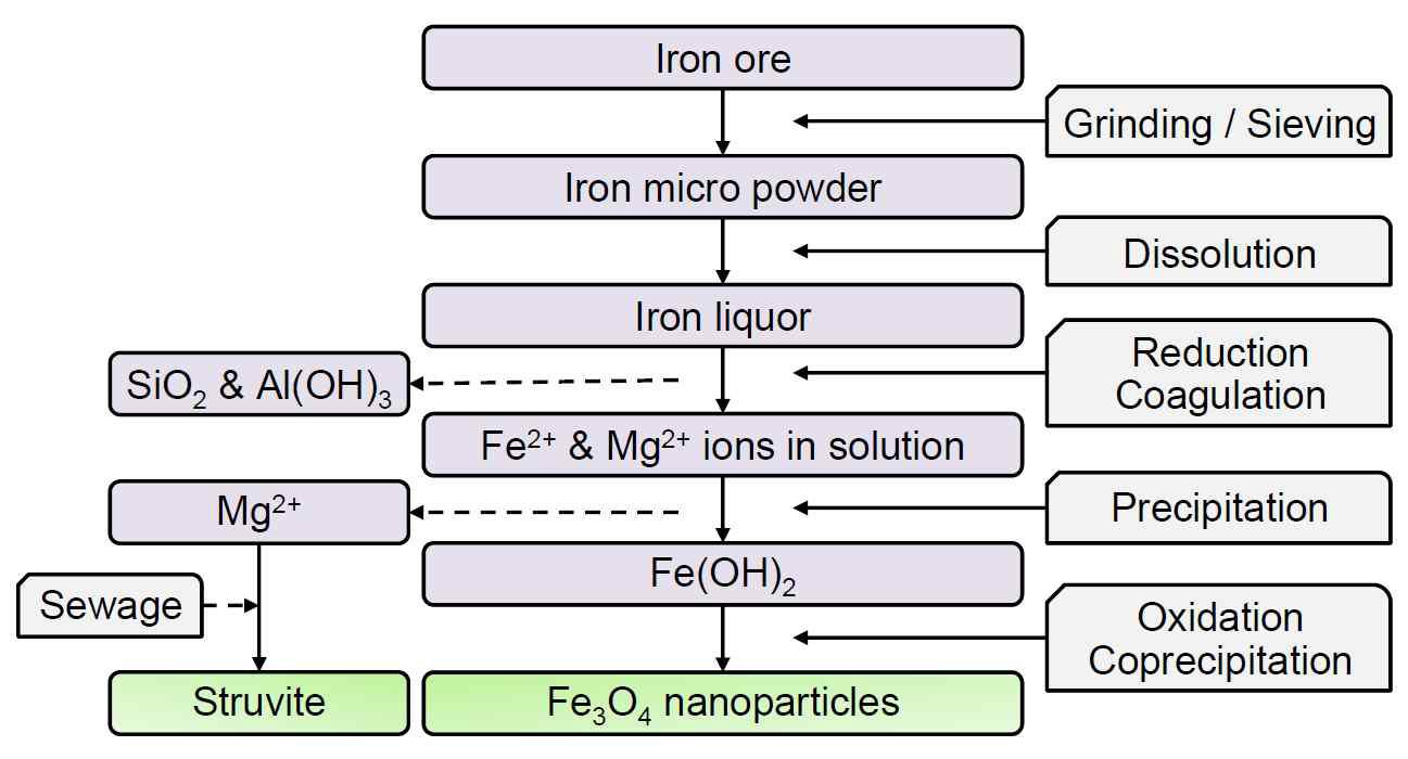 Process for producing magnetite nanoparticles directly from a low grade magnetite.