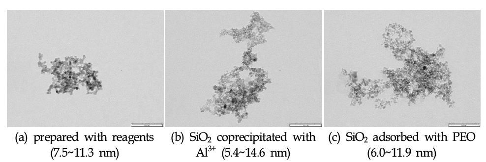 Morphology of particles produced from a magnetite leachate without silica.