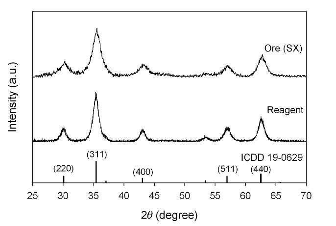 XRD patterns of Fe3O4 nanoparticles.