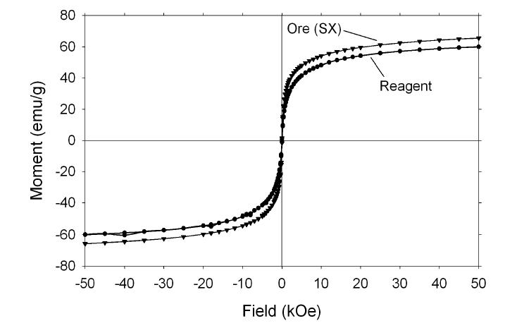 Magnetization curve of Fe3O4 nanoparticles.
