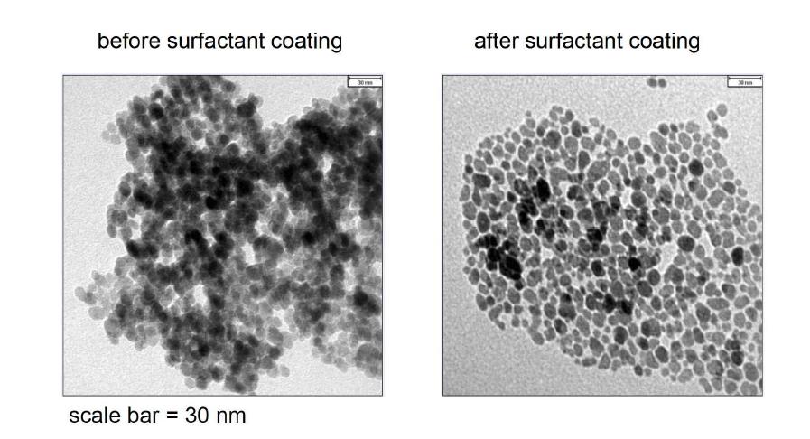 TEM pictures of Fe3O4 nanoparticles before and after surfactant coating.