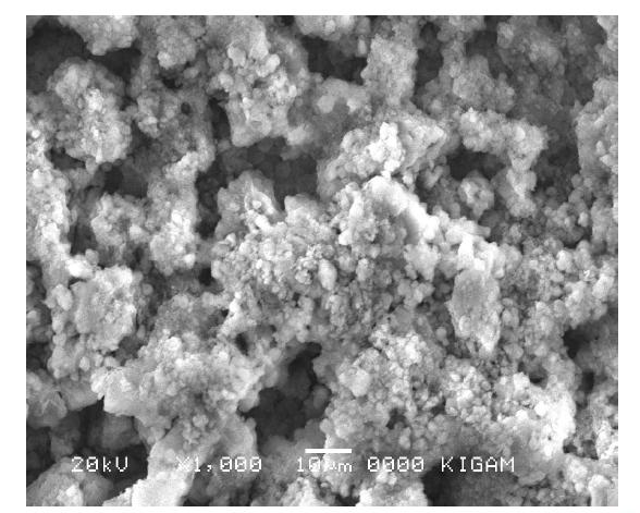 SEM image of siliceous mudstone powder.