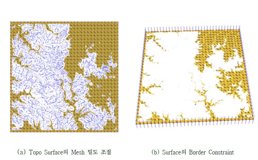 그림 3-90. (a) Topo Surface의 Mesh 밀도 조절, (b) Surface의 Border Constraint.