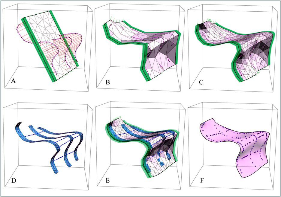 그림 3-14. Indirect surface 제작방법: (a) 초기 coarse surface, (b) control curve를 이용한 interpolation(straight line constraints: 녹색, cylinder constraints: 투명한 녹색), (c) 메쉬 refine, (d) 추가해석자료 추가, (e) 최종적인 메쉬 refine 및 interpolation 이전 상태, (f) 최종 메쉬.