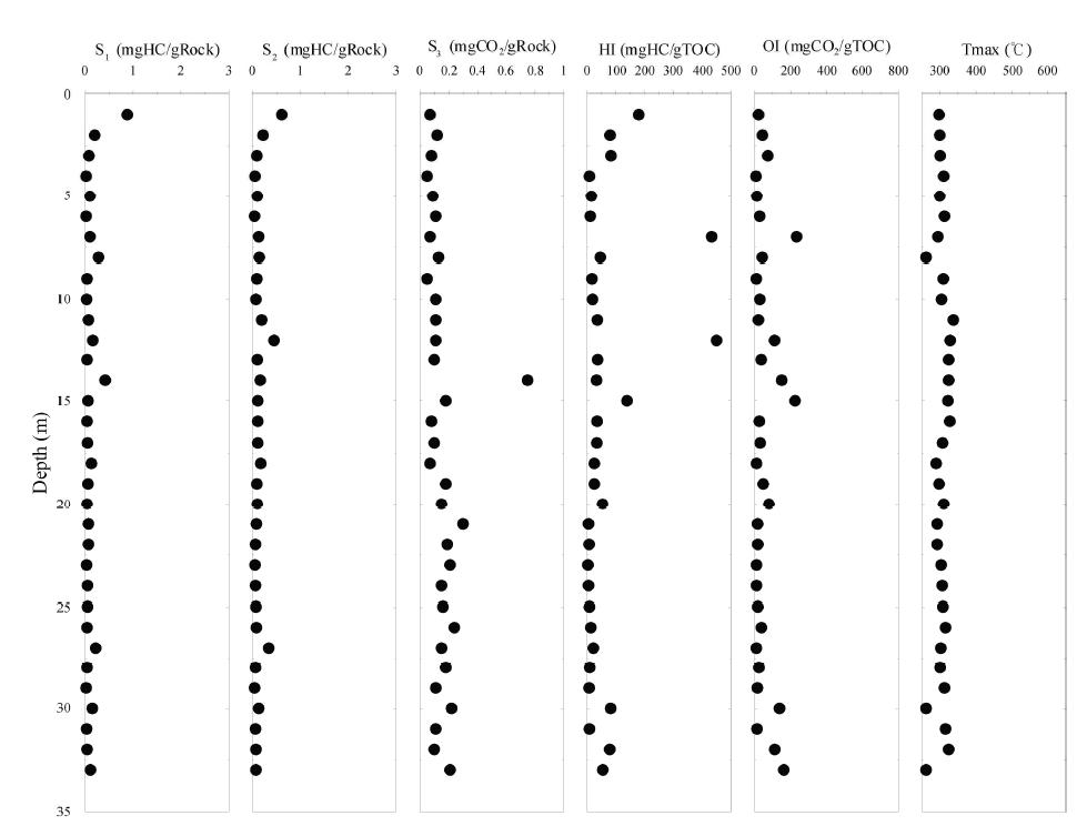 Rock-Eval results of DH-4 core.