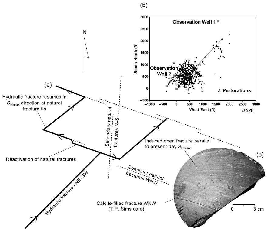 Stress distribution analysis of shale gas reservoir. A) Orientation of hydraulic fracture growth, B) microseismic data of fracture orientation and C) fracture geometry of T.P. Sims core