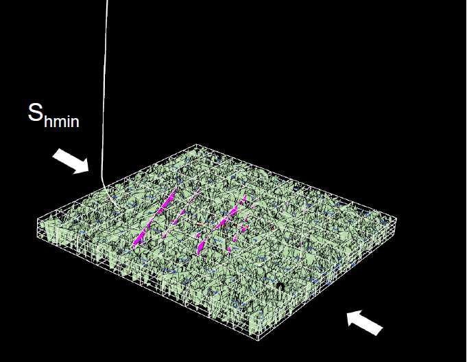 Simulation result combining minimum principal stress and natural fracture using FracMan