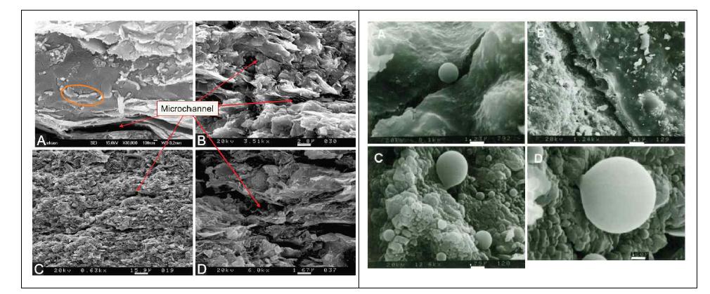 Left) Scanning electron micrographs (SEM) of Woodford shale and Right) SEM image during a hydrous pyrolysis experiment of heating to 350℃ for four days