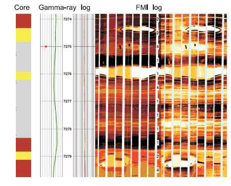 Depth calibration of calcite concretions in core description (yellow) and static and dynamic Fullbore Formation MicroImager (FMI) log (white). Calcite concretions : yellow, siliceous mudstone : gray, siliceous-calcareous mudstone : brown