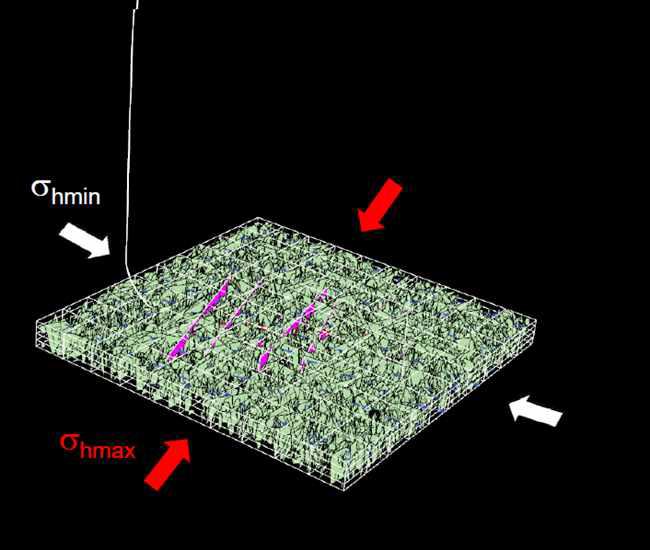 Discrete Fracture Network.