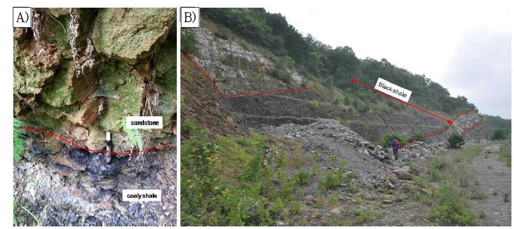 A) Coaly shale in the Nakdong Formation, B) black shale (20 m thickness) in the Jinju Formation.