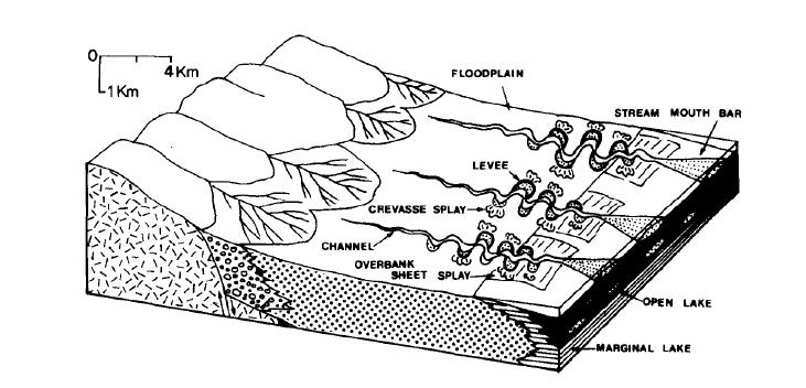 Schematic diagram showing distribution of sedimentary facies