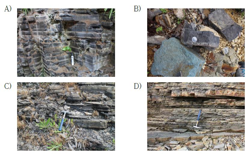 Sampling outcrop photos. A) Uhang-ri outcrop (HN 19-1-2), B) Byungon-ri outcrop (HN 20-7-1), C) Sinseong-ri outcop (HN 20-10-1), D) Nokjin-ri outcrop (HN 21-1-2).