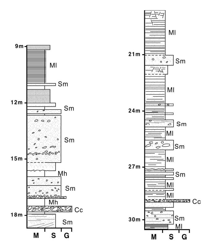 Sedimentary profile of DH-4 core.