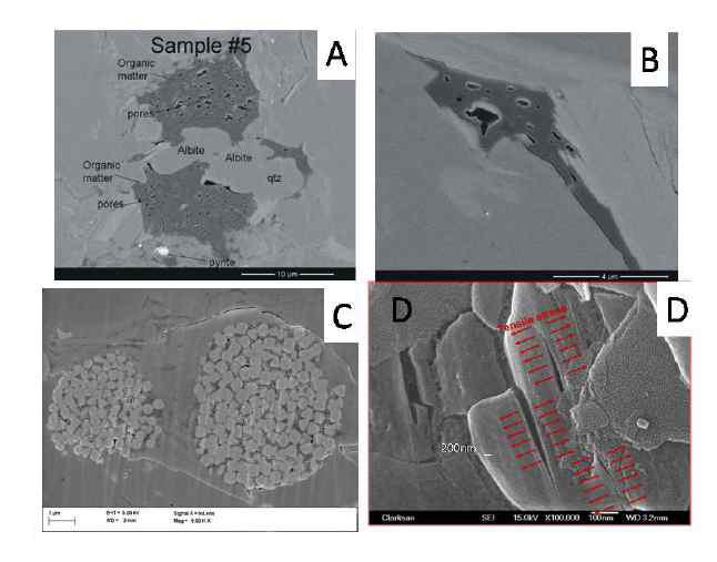 FE-SEM images of pores in organic matter (A-B), pyrite crystals (C) and mineral surface (D)