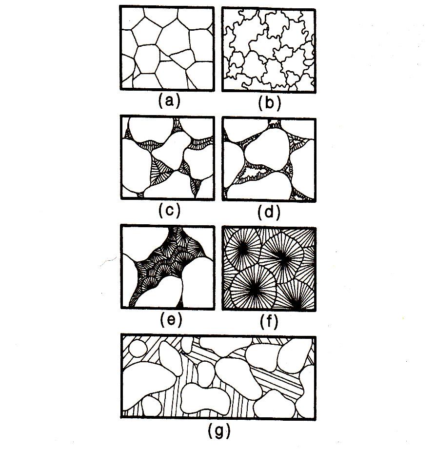 퇴적암의 조직: 등립-모자이크 조직(a), 등립-봉합상조직(b) , 표생 쇄설성 조직을 갖는 암석의 교결물질에서 나타난 빗살 모양 조직(c)과 섬유상-정동 조직(d) 및 방사상-섬유상 조직(e), 구과상 조직(f), 포이킬로트픽 조직(g).