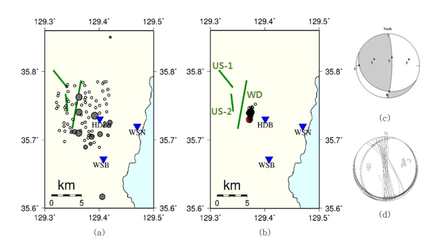 그림 3.1.10. 단층(녹색선) 위치와 진앙재결정 결과 및 ML 2.2 이벤트의 단층면해, (a) KIGAM 수동분석 목록의 진앙 위치 (회색 원) 및 무작위로 배당된 미분석 이벤트의 진앙 위치 (검정색 빈 원), (b) 재결정된 진앙위치 (붉은 색 원 및 검정색 빈 원), (c) HASH로 계산된 ML 2.2 이벤트의 단층면 해, (d) FOCMEC으로 계산된 ML 2.2 이벤트의 단층면 해