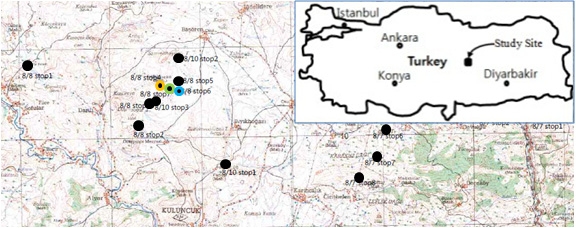 Fig. 4-34. Geographical and geological maps of the study area (● locations of field works; □ study area of fluorite deposits; ◎/①-③ fluorite ore sampling sites).